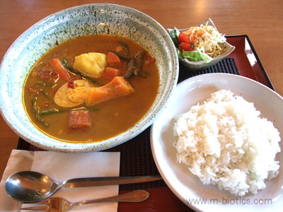 野菜スープカレー