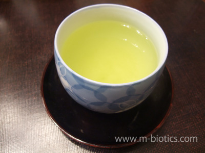 深蒸し茶を淹れたところ　薄い