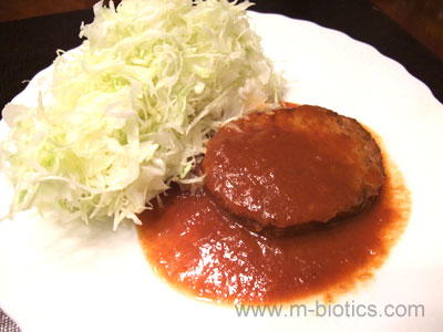 三育フーズ　野菜大豆バーグ　レビュー　皿に千切りキャベツとともに盛り付けたところ