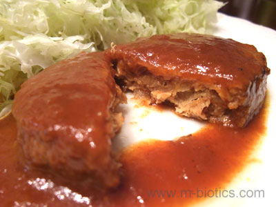 三育フーズ　野菜大豆バーグレビュー　バーグ断面図