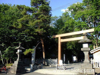 旭川神社