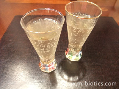 ウメッシュ ノンアルコール