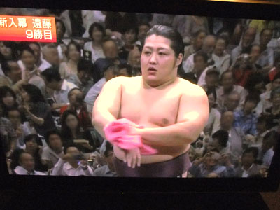 遠藤 の登場で大相撲に生まれて初めて興味を持つ 13年9月 大相撲春夏秋冬 遠藤 の登場で大相撲に生まれて初めて興味を持つ 13年9月 大相撲春夏秋冬