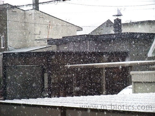 初雪　北海道旭川2013