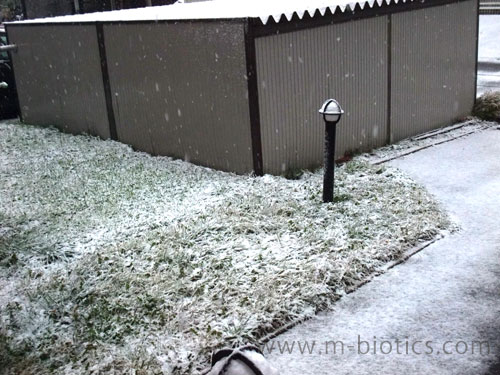 初雪 北海道旭川2013