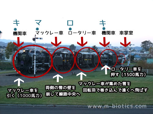 キマロキ　機関車　名寄