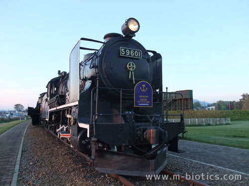 キマロキ　9600型蒸気機関車　SL　排雪　名寄市北国博物館