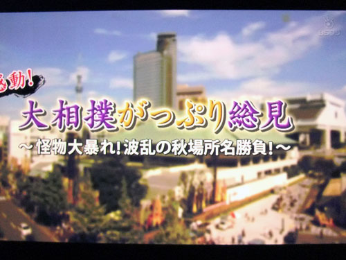 大相撲がっぷり総見　名寄岩