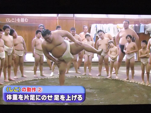 大相撲 NHKスポーツ教室