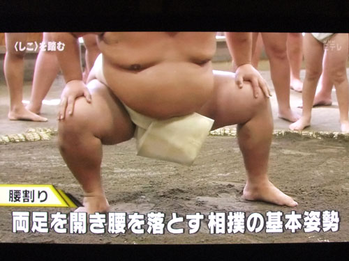 大相撲　NHKスポーツ教室