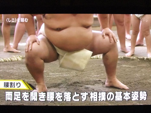 大相撲 NHKスポーツ教室