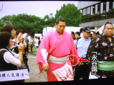 遠藤　永谷園のピンク着物