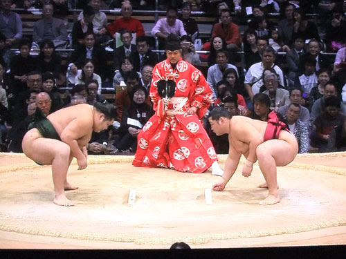 相撲　遠藤　千代大龍