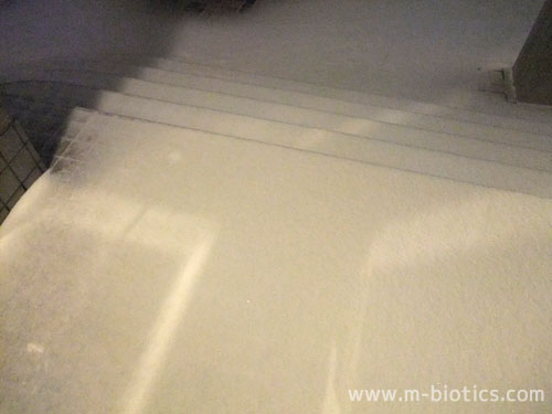 雪かき 長靴 手袋