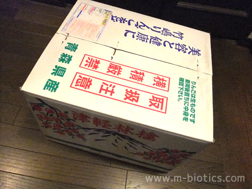 竹嶋 りんご ジョナゴールド 15㎏