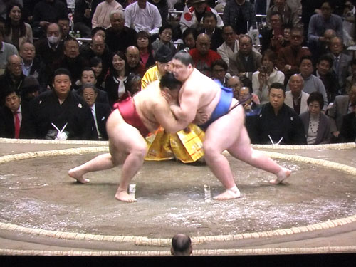 遠藤　逸ノ城　初場所