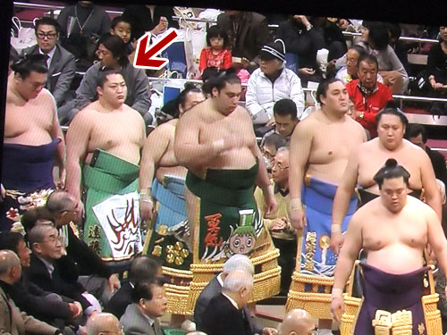 永谷園　まわし　緑