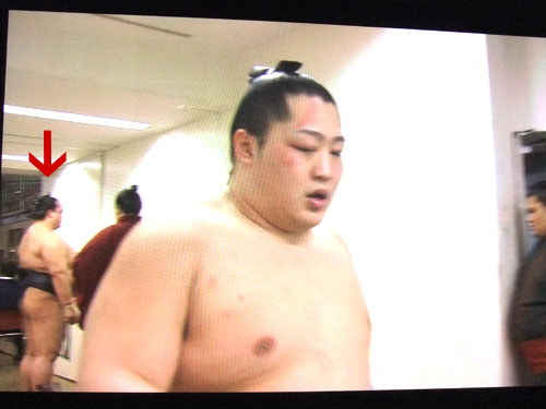 稀勢の里　花道