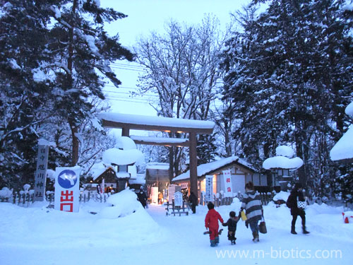 北海道旭川神社のどんど焼き２０１４