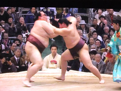 遠藤対稀勢の里