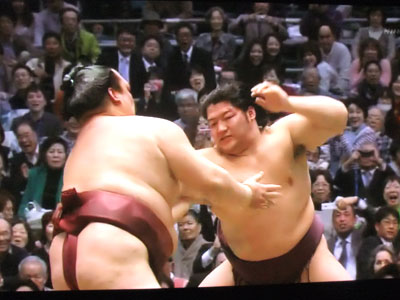 遠藤対稀勢の里