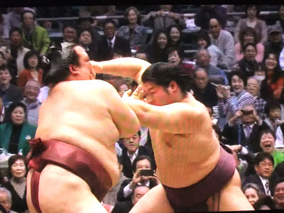 遠藤対稀勢の里