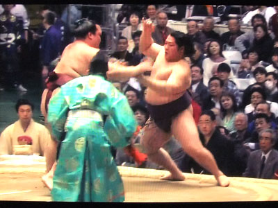 遠藤対稀勢の里