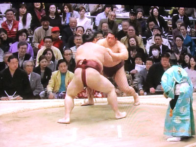 遠藤対稀勢の里