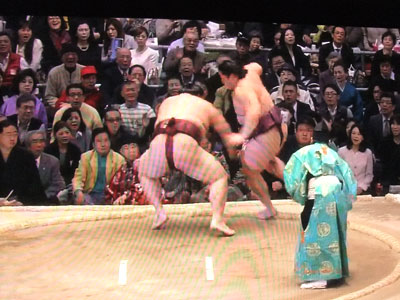 遠藤対稀勢の里