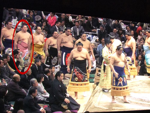 熱海富士の新しい化粧まわしにSNS注目「『バーコードおじさん