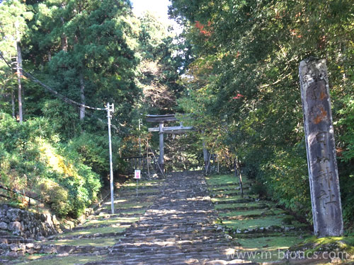 平泉寺白山神社