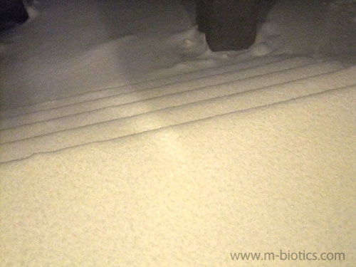 旭川 雪かき