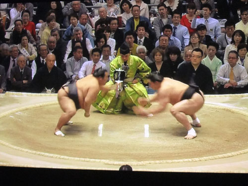 相撲　豊ノ島　日馬富士