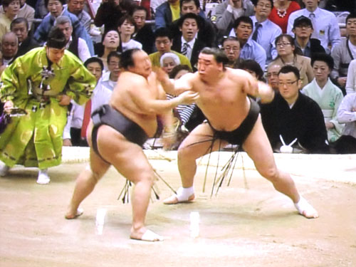 相撲　豊ノ島　日馬富士