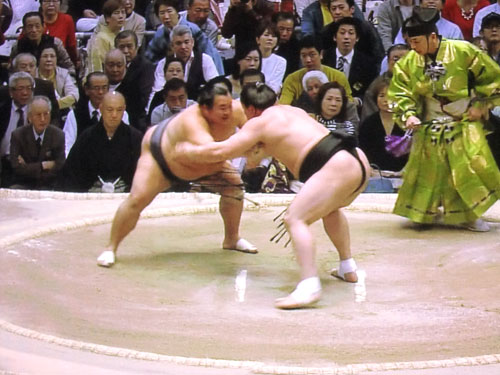 相撲　豊ノ島　日馬富士