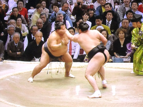 相撲　豊ノ島　日馬富士