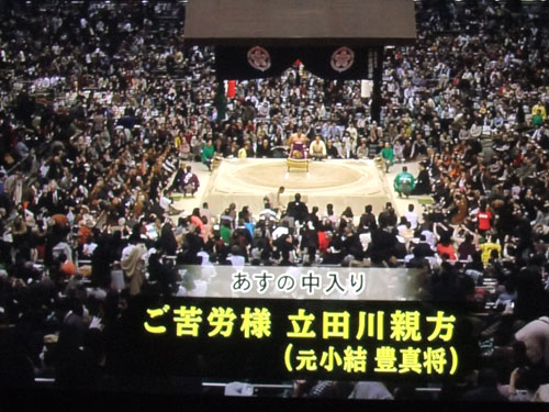 豊真将　立田川親方