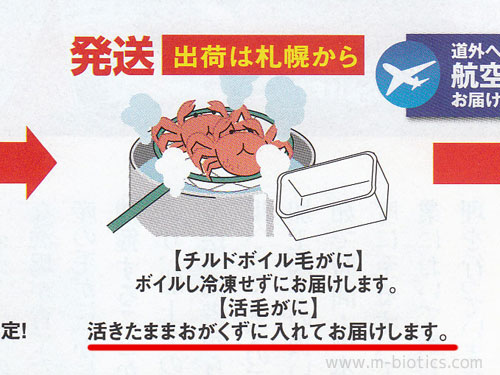 紋別 蟹
