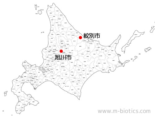紋別 蟹