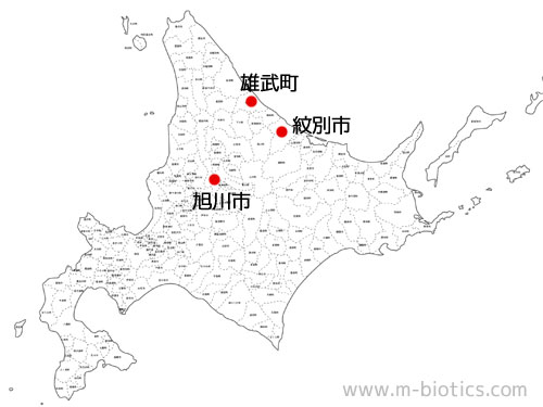 紋別 蟹