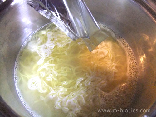 ちゃんこ塩ラーメン　藤原製麺　谷風