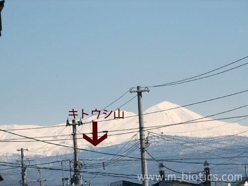 旭岳　大雪山　キトウシ