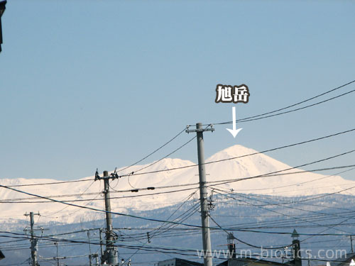 旭岳　大雪山