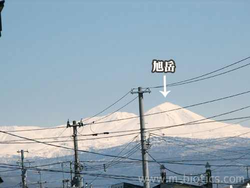 旭岳 大雪山