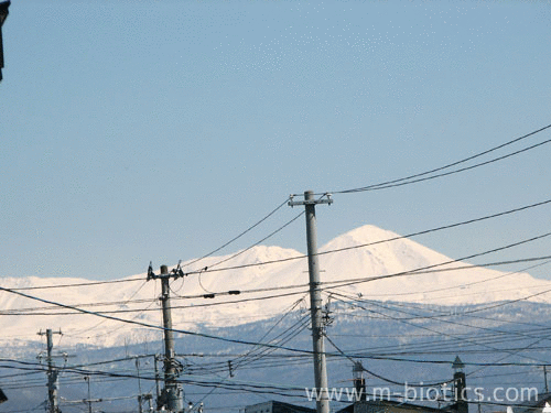 旭岳 大雪山