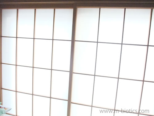 障子 眩しい