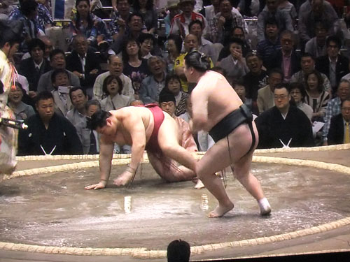 大相撲　夏場所　遠藤　2015