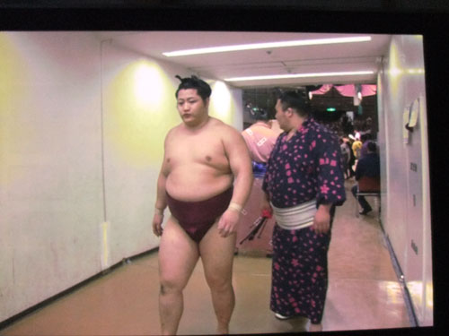 大相撲　夏場所　遠藤　2015