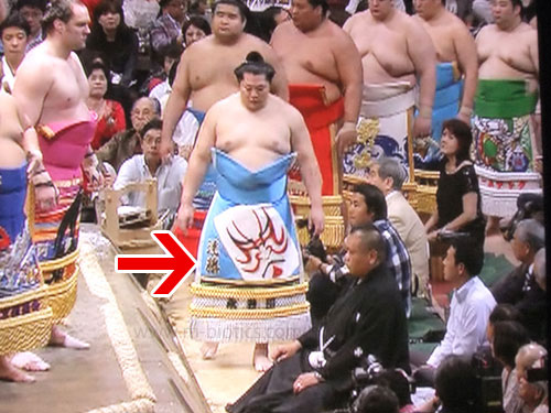 大相撲　夏場所　遠藤　2015