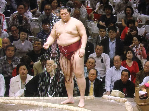 大相撲　夏場所　遠藤　2015